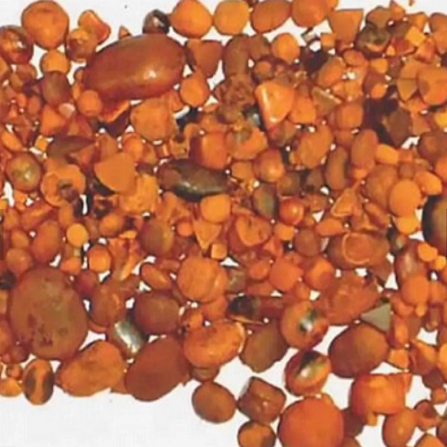 Export 100% Natural Top Quality Ox Gallstones Cattle Gallstones Cow Gallstones for Sale