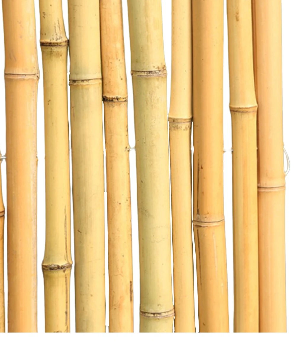 Tokin Bamboo poles for construction and interior decoration, used as bamboo houses, durable and environmentally friendly.