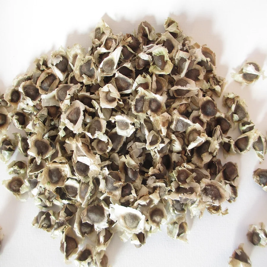 HIGH QUALITY MORINGA SEEDS
