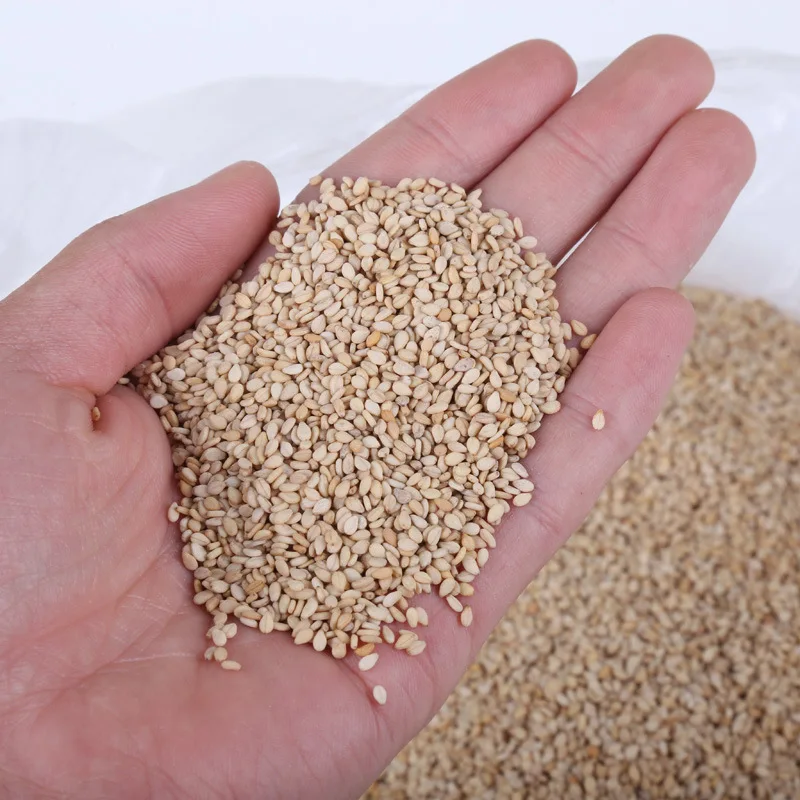 TOP QUALITY Sesame Seeds