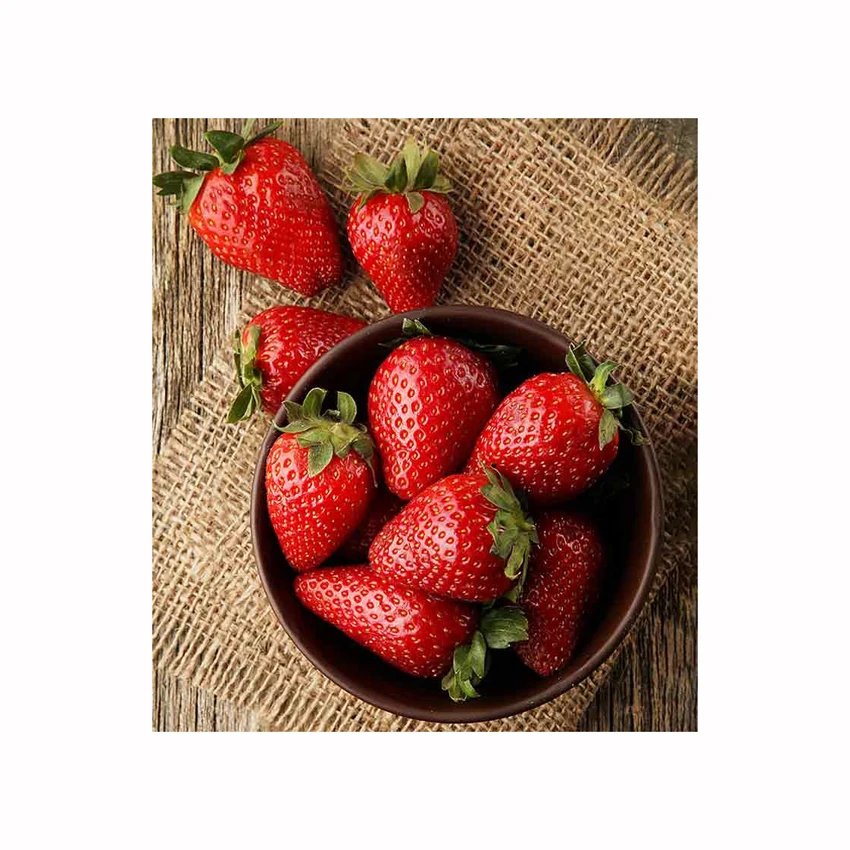 fresh strawberry TO Belgium