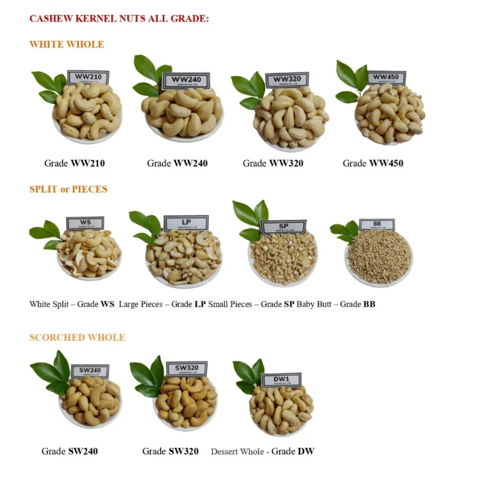 Factory Directly Cashew Nuts Cashew Nuts W320 Raw Cashew Nuts With Custom Packaging