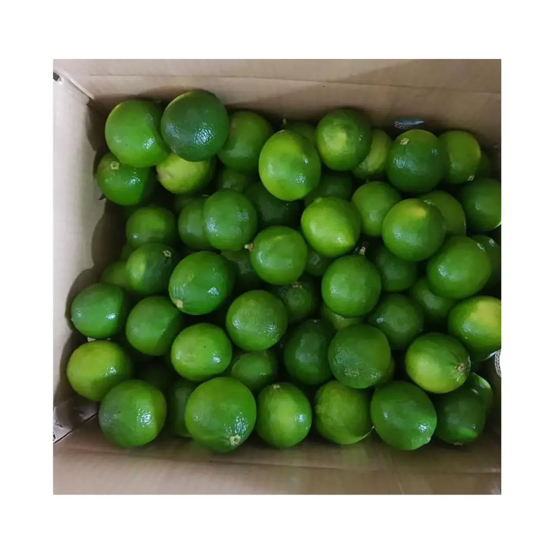 Fresh Green Citrus Fruit- Fresh Lemon In Vietnam From Farm Wholesale Fresh Lime