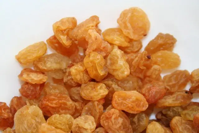 Manufacturer Supply Quality Green Raisins Dried Grapes