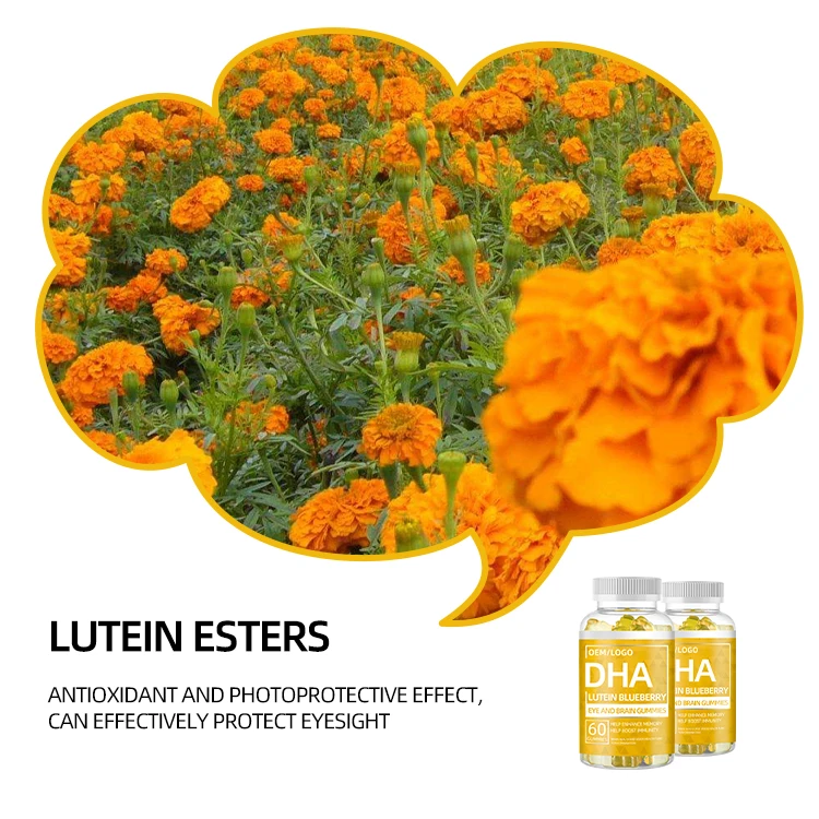 Manufacturers Eye Care Antioxidant Anti-Fatigue Gummies Supplements Blueberry Lutein Esters Gummies