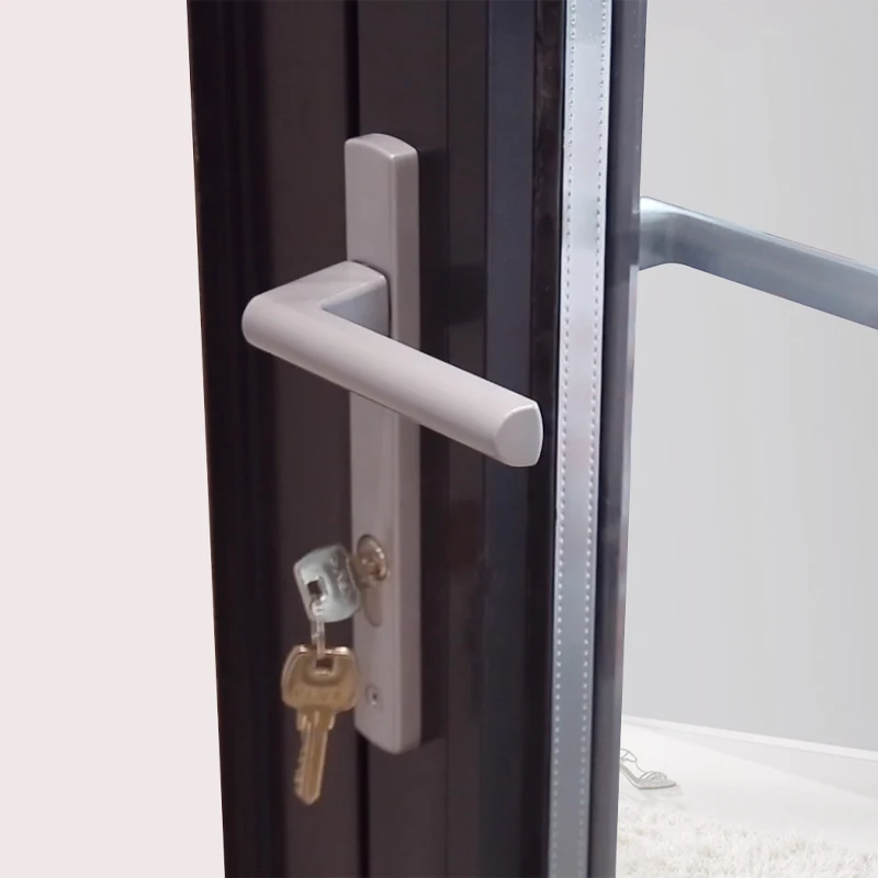 Double Glazed Aluminium Hinged Casement Door with Tempered Glass High Quality Customizable 65 series Swing Door