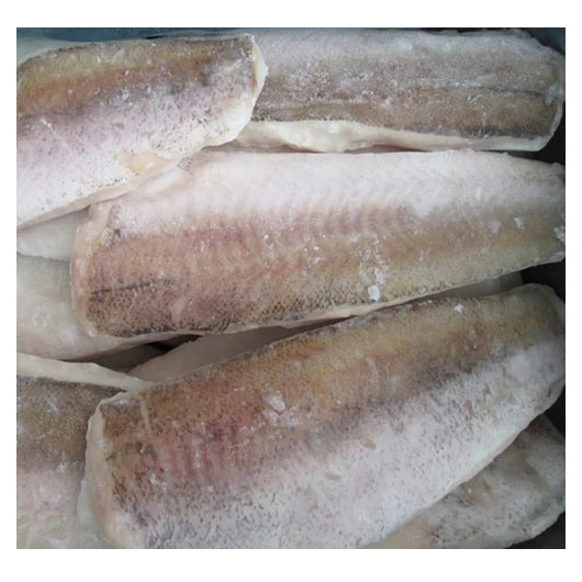 Factory Price Hake fish / Frozen Hake Fish/Frozen Pacific Hake Fillets Fish