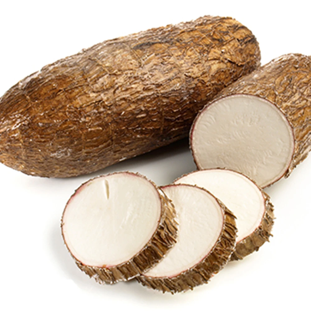 Raw dry Cassava / Dried Cassava from Vietnam (Material for Starch) Wholesale with cheap price