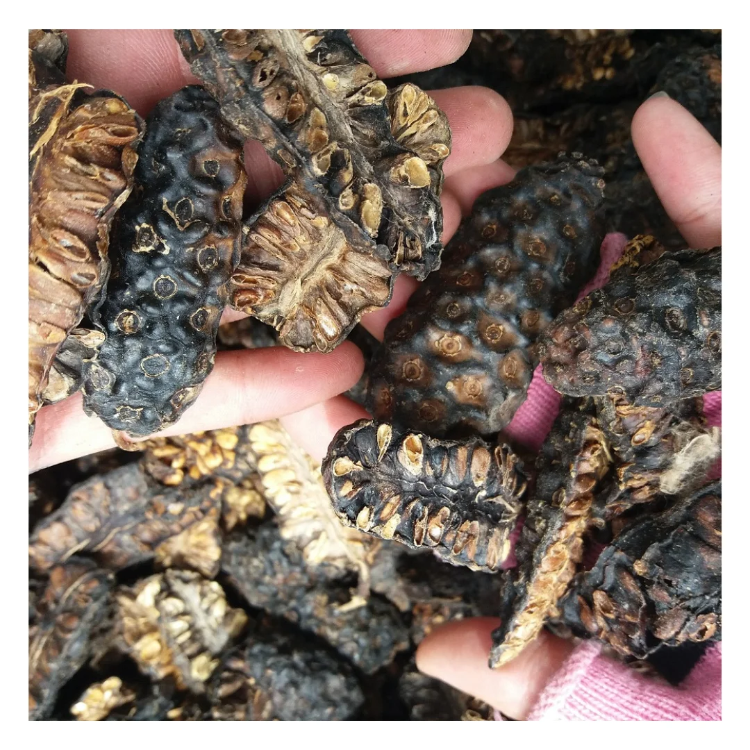 Новый сезон сушеные фрукты Morinda Citrifolia/сушеные нони во Вьетнаме Овальные удлиненные нарезанные по лучшей цене