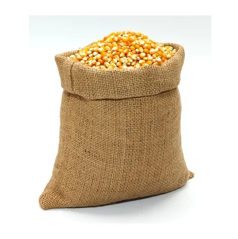 New Crop Non GMO Yellow Corn Maize for human and animal feed grade consumption Top Selling