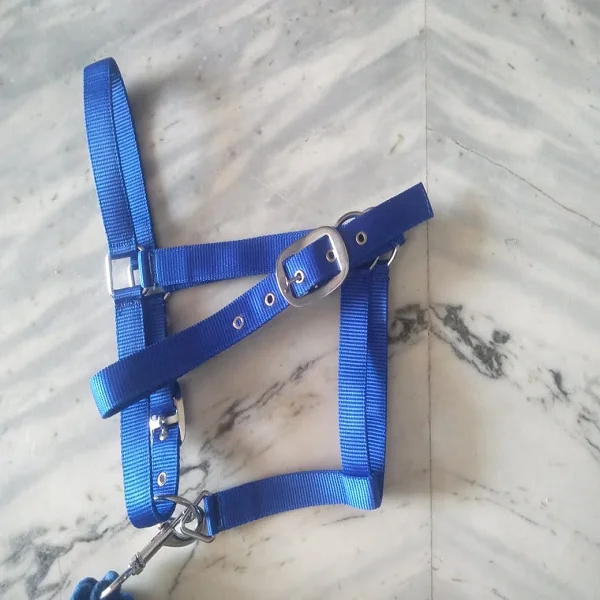 Hot Sale Horse Halter With Lead Rope High Quality Equestrian Equine Equipment Tack Wholesale heavy duty horse lead rope