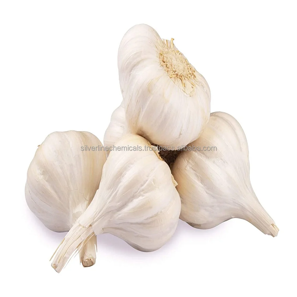 Wholesale Best Quality Essential Oil Garlic Oil Manufacturer