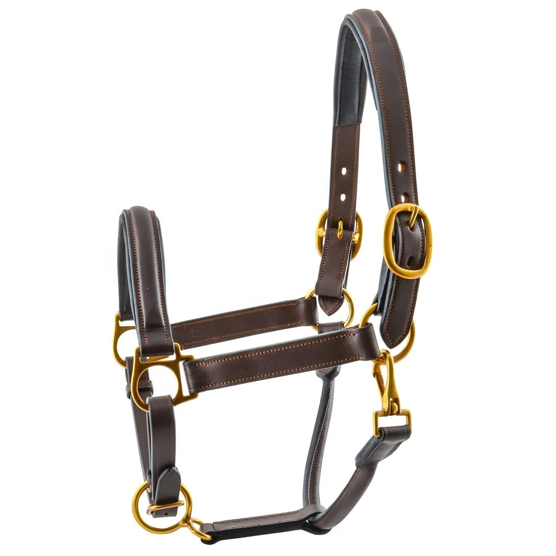 Best Quality Wholesale Price Custom Horse Leather Halter For Outdoor Sports Available For Wholesaling