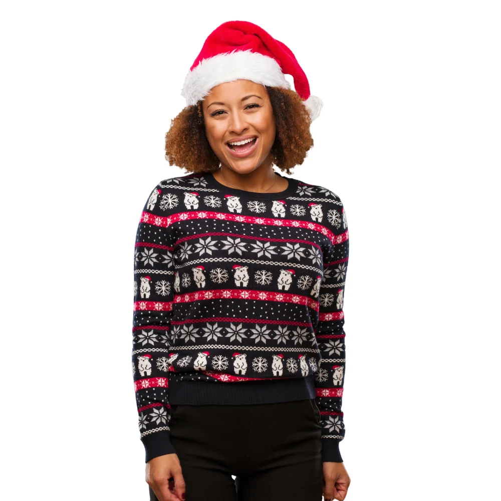 OEM Factory Made Custom Knitted Christmas Ugly Sweaters O-Neck Machine Knitted Casual Women Christmas Sweaters