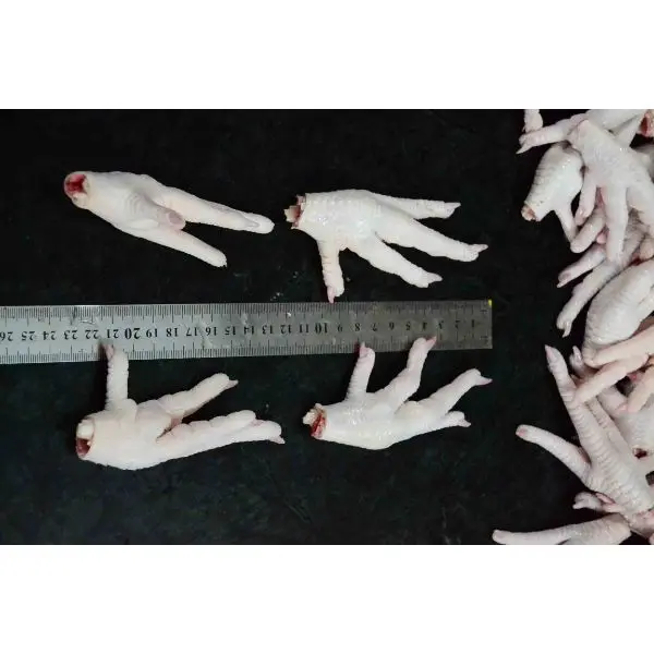Frozen Chicken Processed Feet & Paw Ready For Delivery