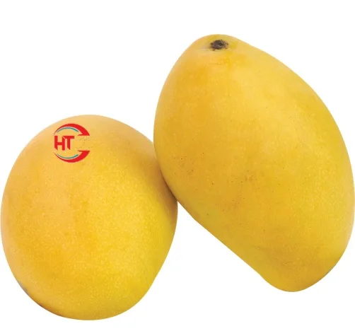 Vietnam Brand Organic Fresh Fruit Unripe Maturity Slightly Sweet Taste Keos Mango With High Quality