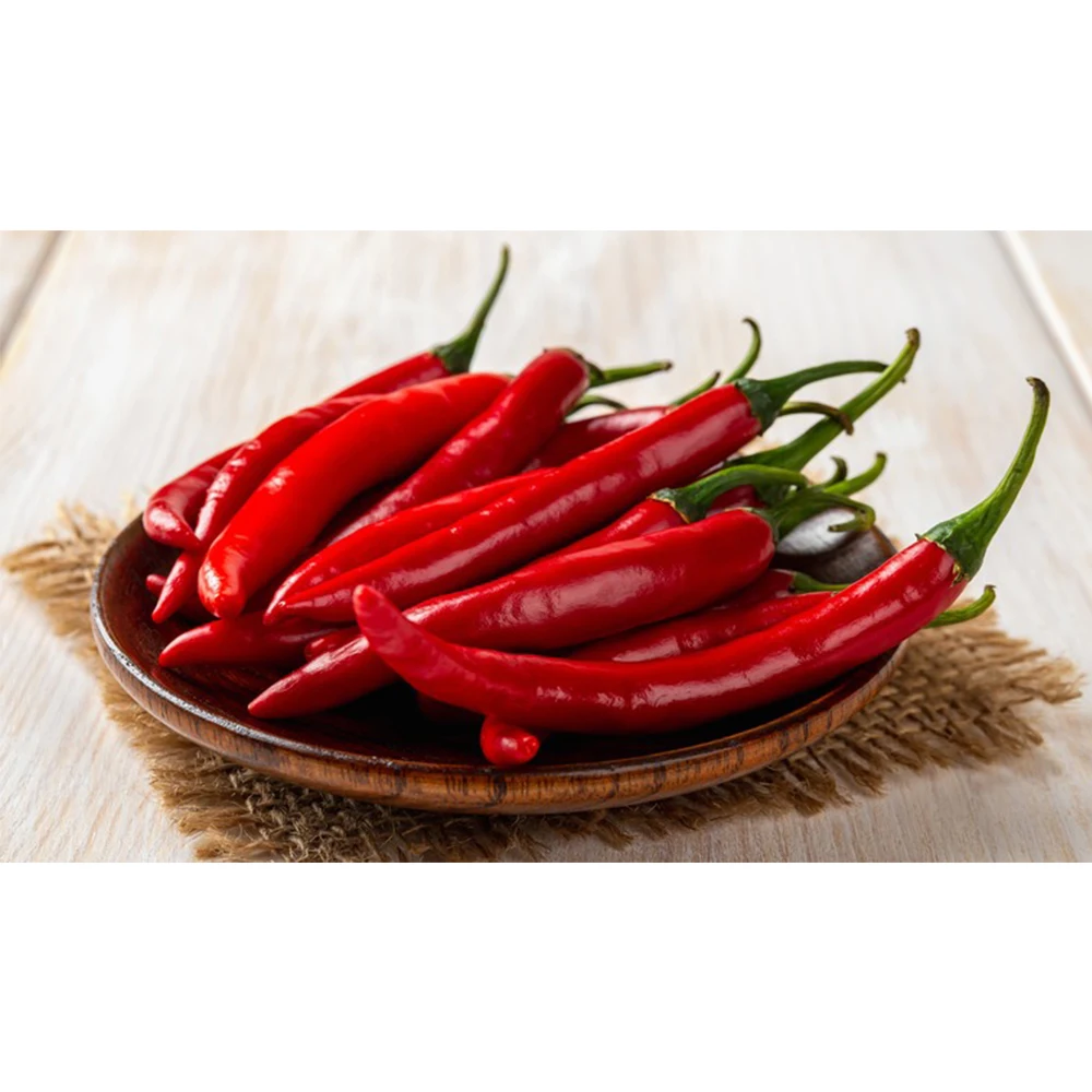 Made In Vietnam - Chili Pepper Wholesale Products Exporter Extract Fresh Vegetables From Farm Capsicum