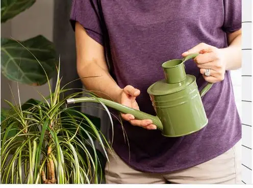 Green Watering Can - Metal Watering Can with Long Spout for Decoration  Perfect Plant Watering Can for Outdoor Plants