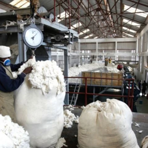 Хлопчатобумажная/хлопчатобумажная пряжа/хлопчатобумажное волокно по всему миру