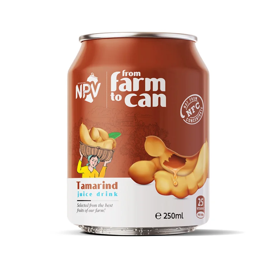High Quality 250ml Tin Can Fresh Tamarind Juice Natural Flavored Water Sugar Never Concentrate Vietnam Supplied