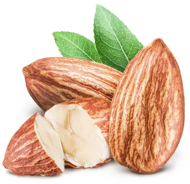 2024 новый продукт Высококачественные свежие миндальные орехи разных размеров жареные и сырые оптовая продажа готовые к отправке