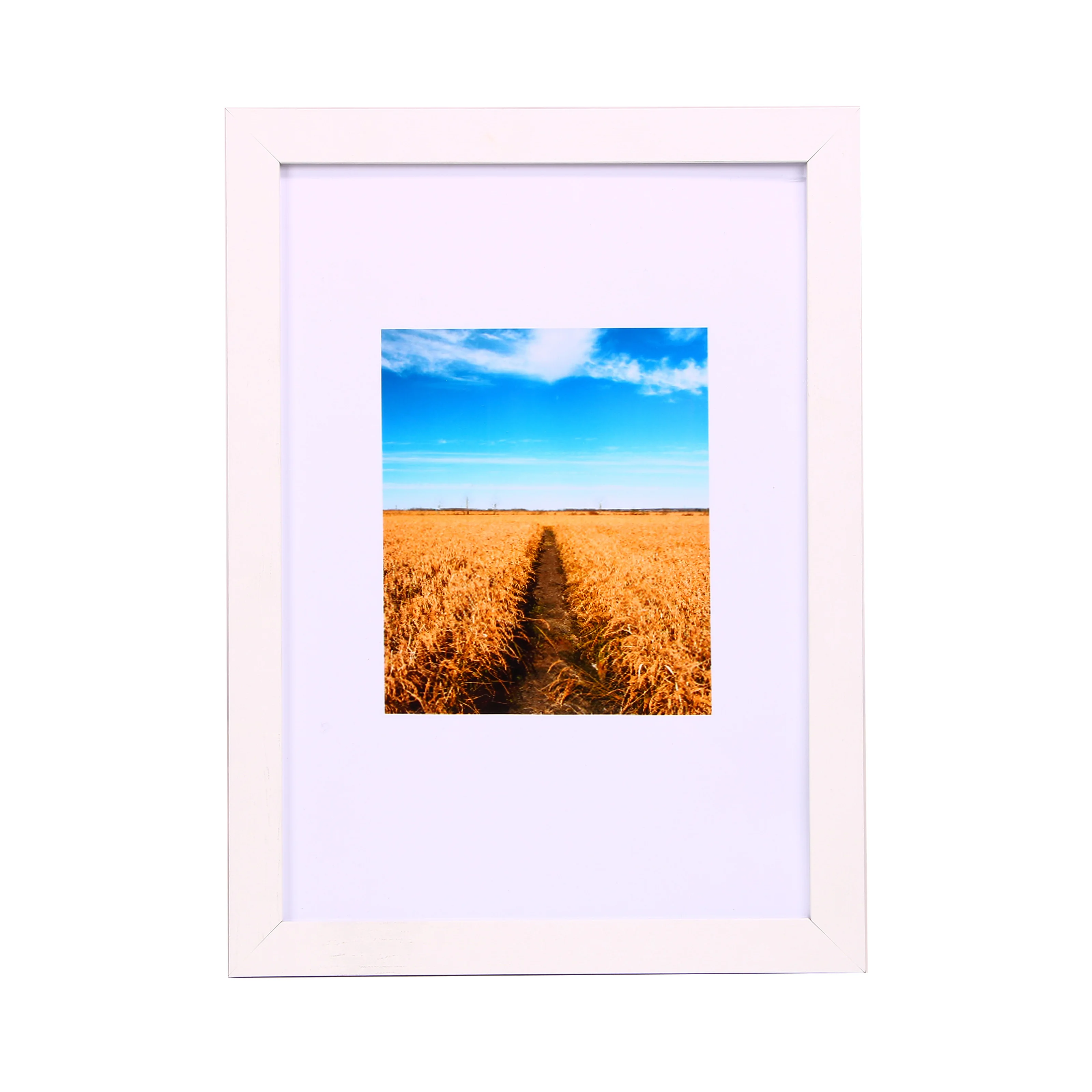 4x6 5X7 6X8 8x10 A4 A3 11x14 12x16 12x18 16x20 18x24 24x36 Black White Multicolor Poster Picture Wood Picture Frame