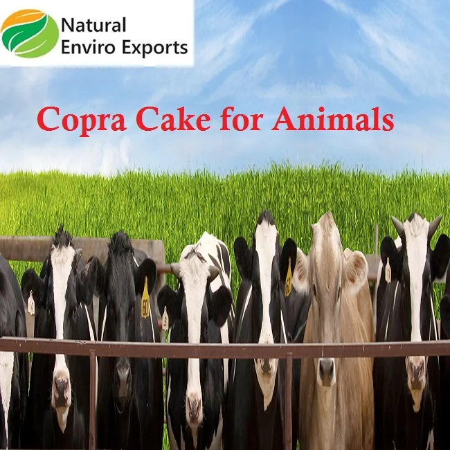 Bulk Quantity Copra Cake/ Copra Meal Made from Pure and Organic Coconut / Animal Feed