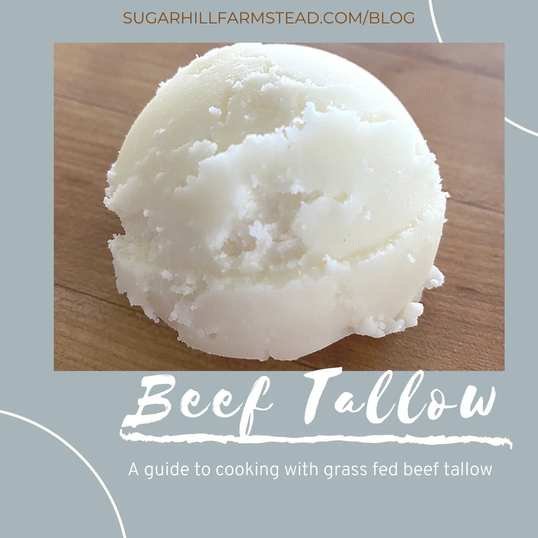 QUALITY BEEF TALLOW ANIMAL FAT ANIMAL OIL AVAILABLE USA ORIGIN