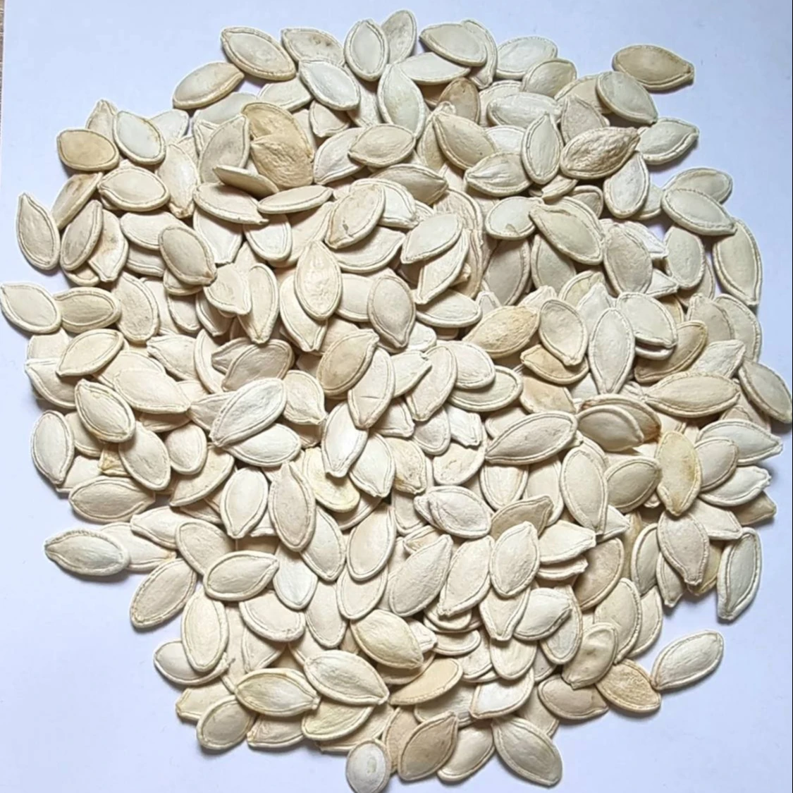 Pumpkin seeds Food & Beverage Snacks Nut & Kernel Snacks Healthy  Food Store Bulk Packaging Bulgarian Origin New Crop Best price