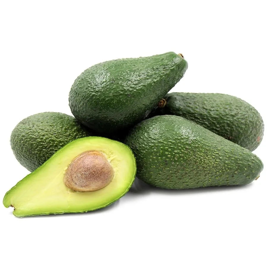 Best Price Fresh Bulk Avocado for Sale