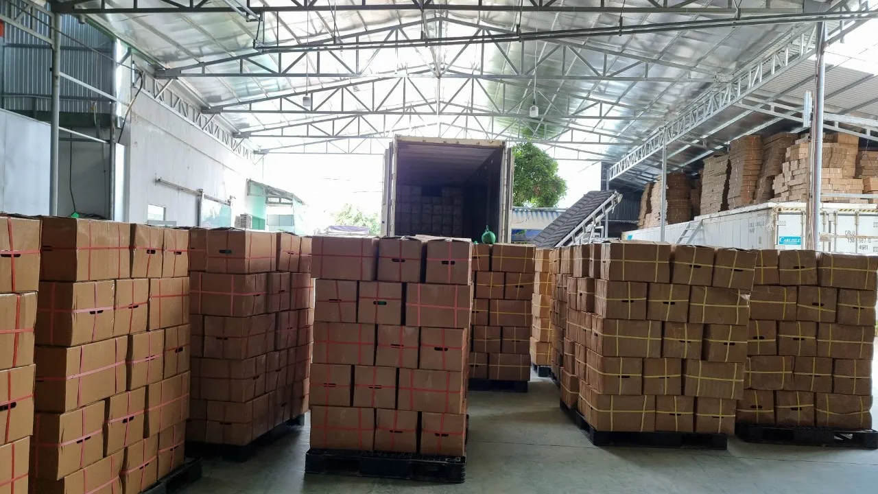 Pomelo Manufacture- Top 1 Fruit Exporter- V.A.F Vietnamese Agriculture Food Company