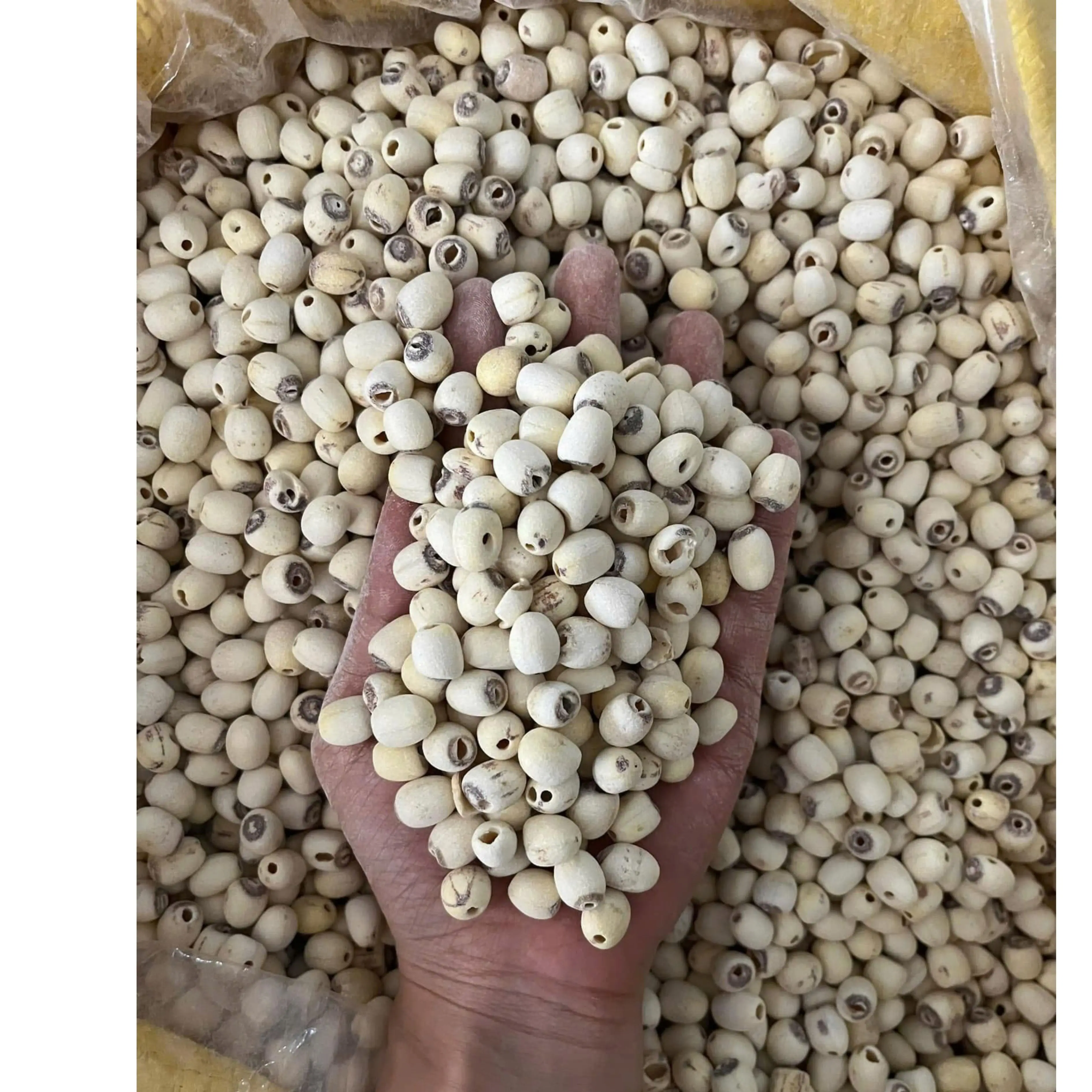 Premium Dried Lotus Seed Snacks from Vietnam Healthy Ready To Eat Vietnam Origin/ LOTUS SEEDS +84 783 612 648 Jasmine