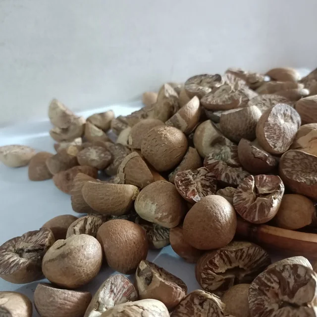 WHOLESALE DRIED BETELNUT SPLIT ARECA NUT  INDONESIA ORIGIN 90-95 QUALITY GOOD QUALITY EXPORT QUALITY