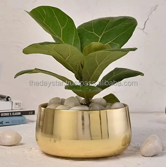Luxury Quality Customizable White Metal Pot with Stand for Indoor Outdoor Decor Garden Home Nursery Elegant Design Floor Usage