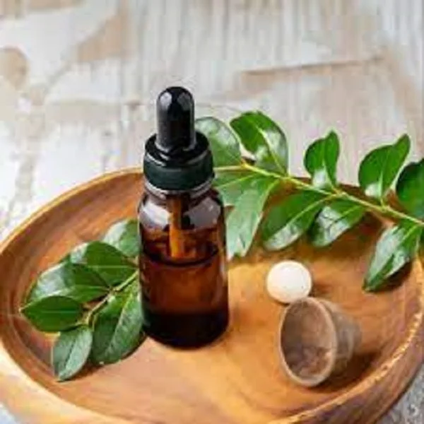 100% Pure Eucalyptus Essential Oil at Wholesale Price  From India