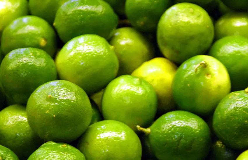 Lime Green OEM Package Weight Size- Low MOQ Support Grade lemon Fresh Seedless Lime Lifefoods from Vietnam