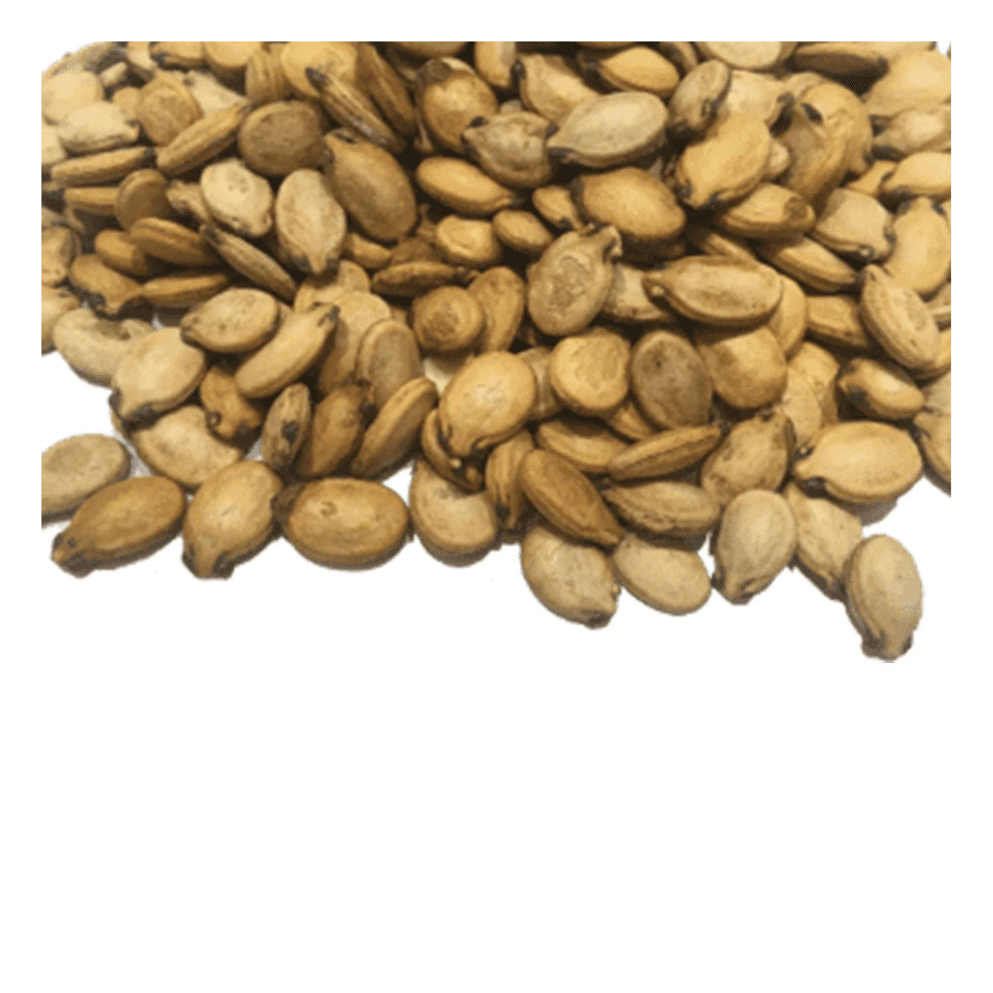 fresh watermelon great quality sweet non GMO High quality crop Red dried fried roasted water melon WATERMELON seeds