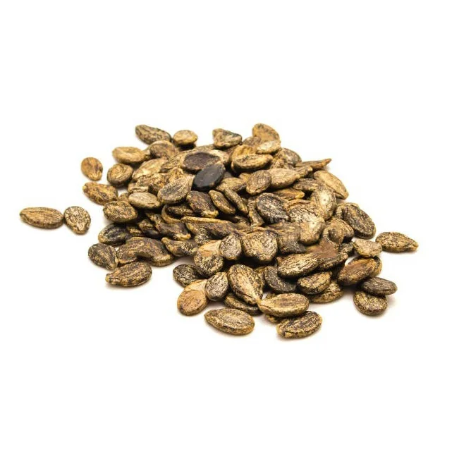 Finest Quality Watermelon Seed Factory Price Water Melon Seeds watermelon Seeds For Sale Finest Quality Watermelon