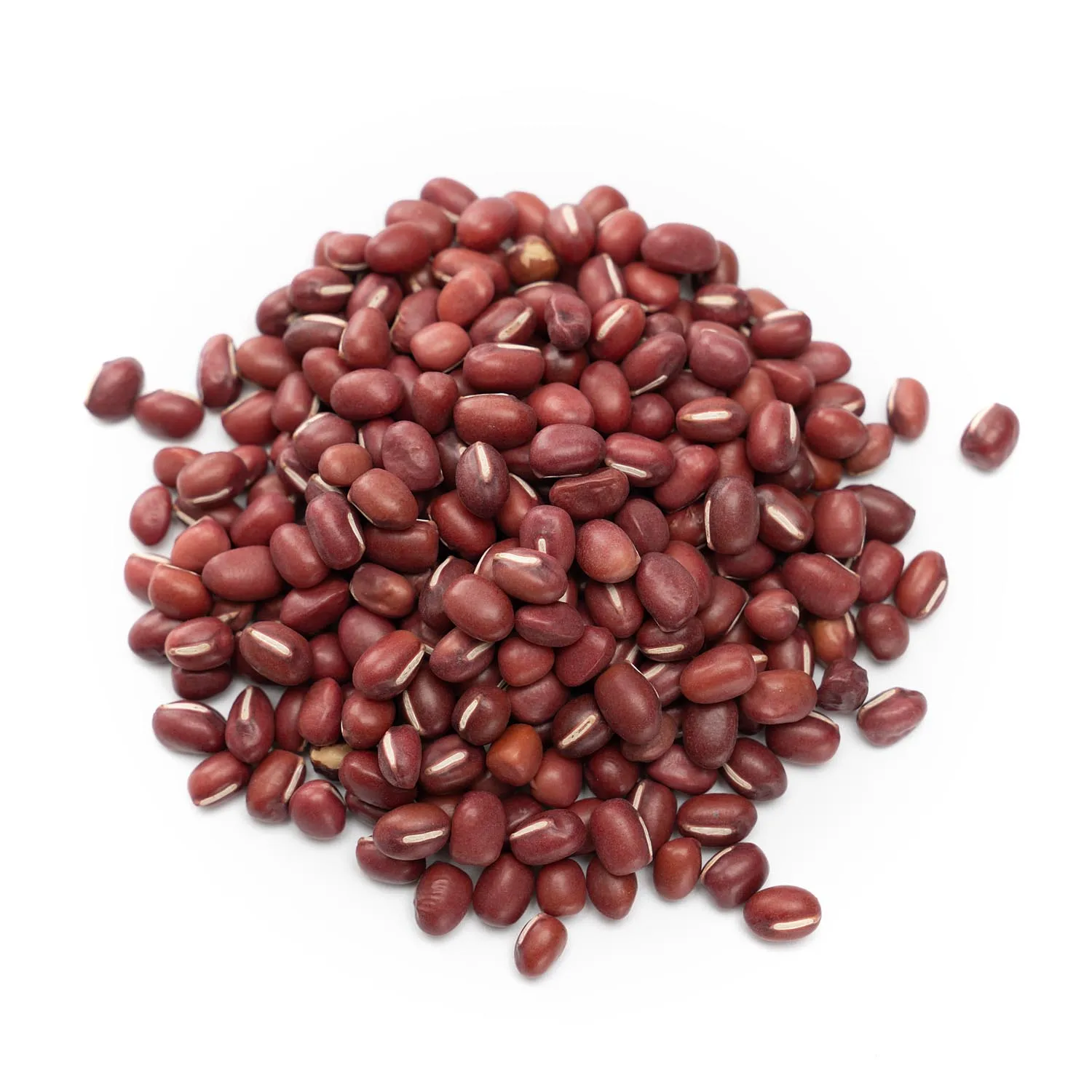 Buy Bulk Adzuki Beans, Organic