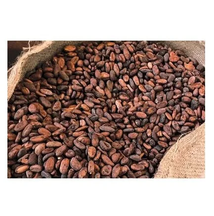 Высококачественные индонезийские какао бобы-Какао бобы-шоколадные бобы