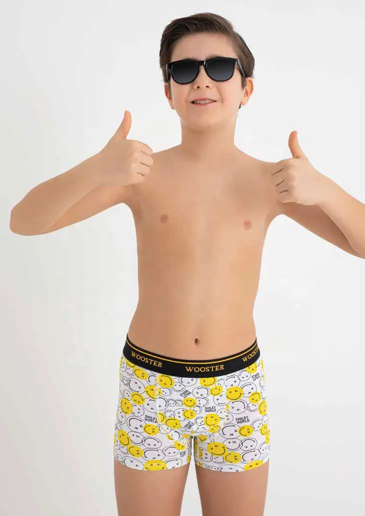 High Quality Kids Wooster-807 Underwear Boys Classic Printed Cotton Stretch Boxers Briefs Shorts Durable Comfortable Cotton Kids