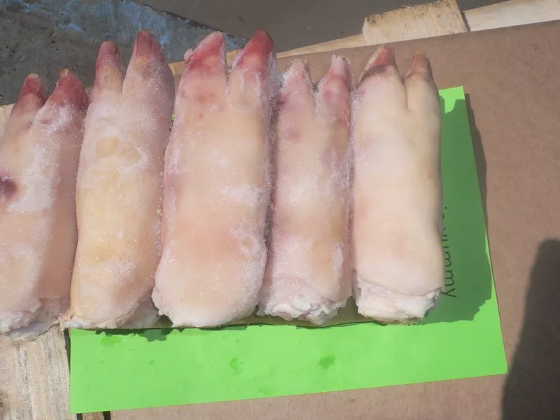 HIGH QUALITY FROZEN PORK / PIG FEET / LEG / MEAT BRAZIL ORIGIN Available for Shipment
