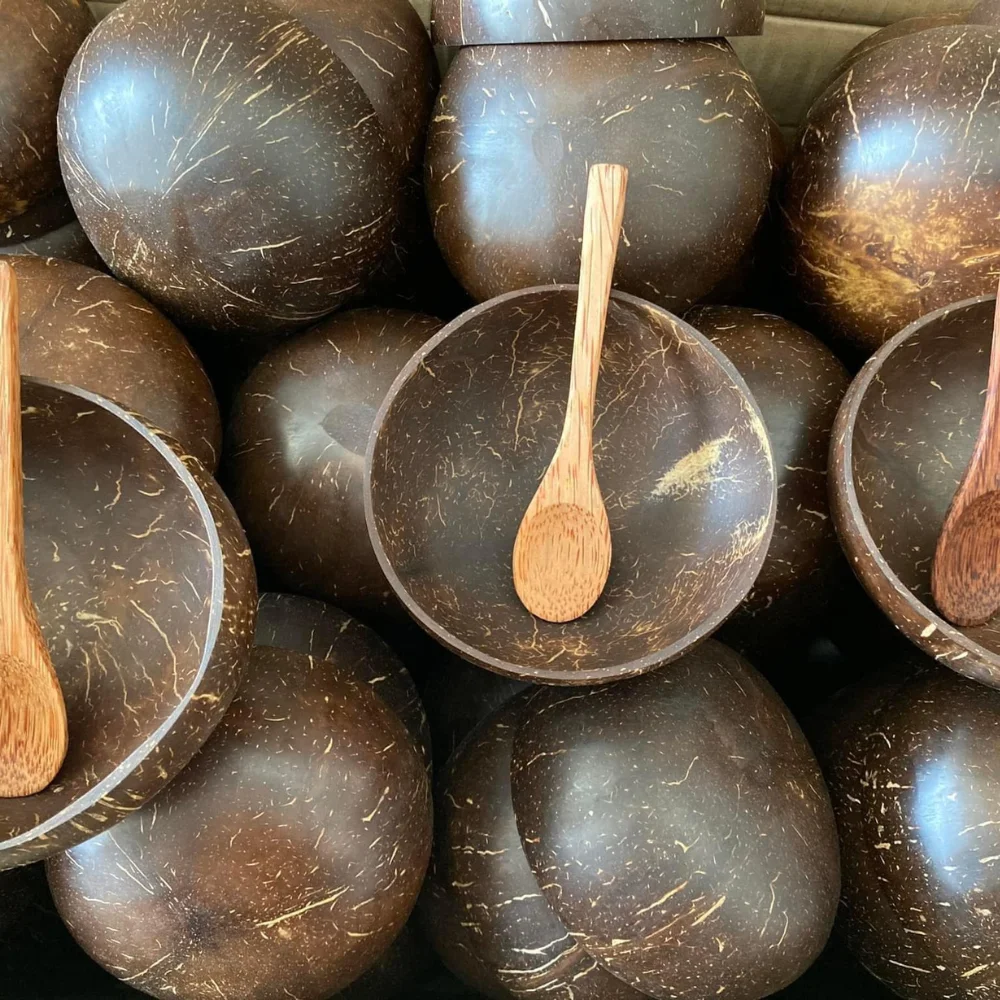 COCONUT SHELL HALF coconut for handicraft reusable  made entirely by hand coconut bowl