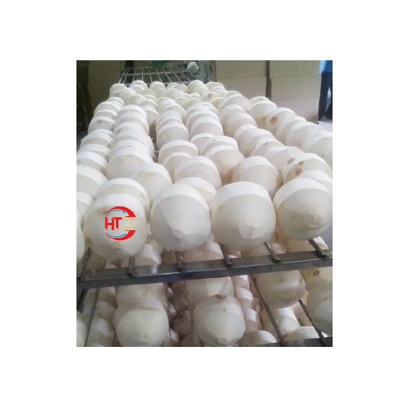 Organic Fresh Natural Harvesting Vietnam Matured Coconut Processed Diamond Cut Sweet Flavor Green Siamese Coconut Without Shell