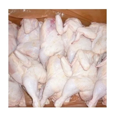 High-Quality Frozen Whole Chicken - Food Grade
