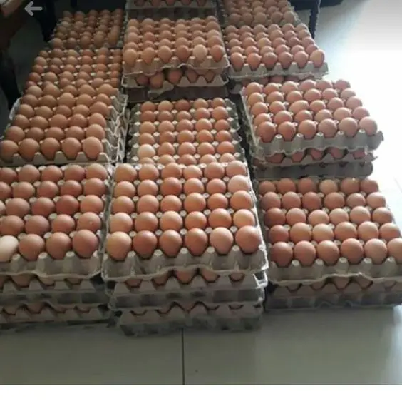 Белый стол куриные яйца