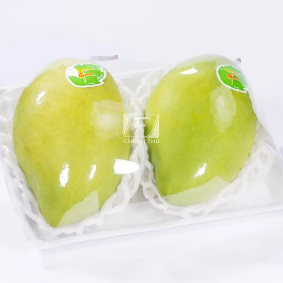 Organic Fresh Mango Hoa  Loc Mango High Quality  Sweet Taste Mango Export From Vietnam Carton Box Packaging