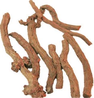 Maddar Roots High Quality Halal Dried Brownish Orange Maddar Roots Dried Root Wholesale