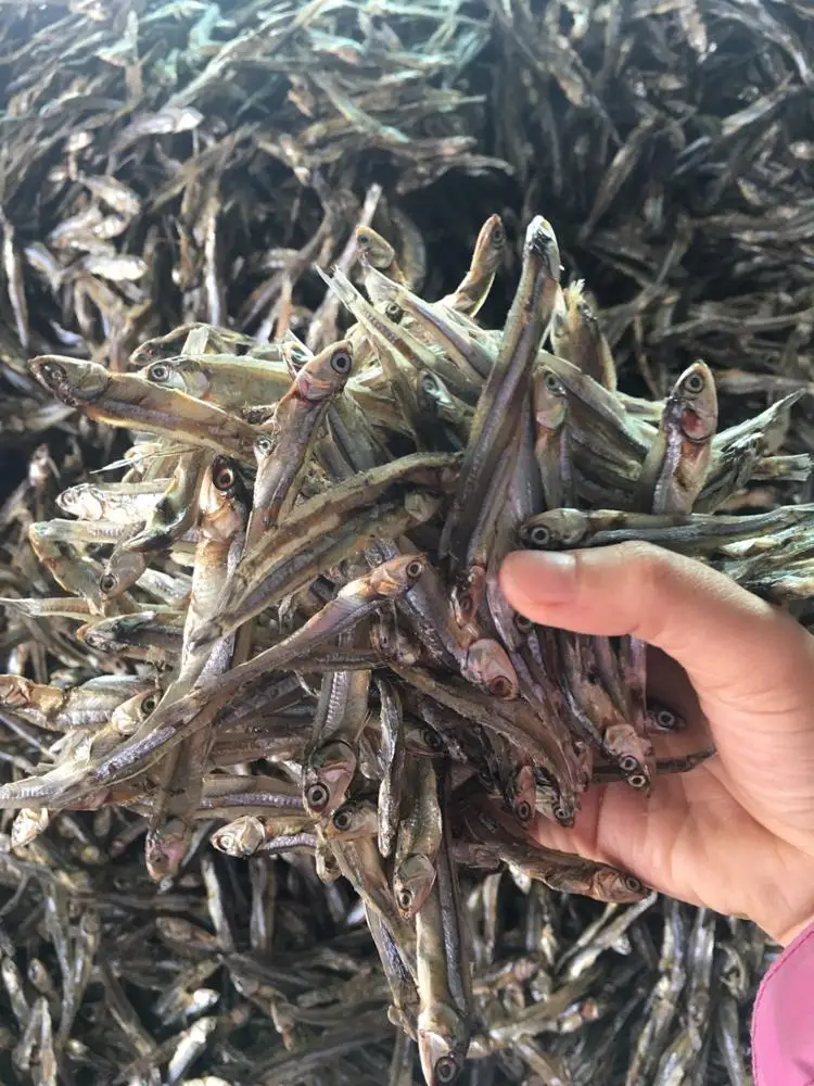 Tanzania Original Manufacturer Delicious Anchovy Instant Dried Anchovy Asian Snack Dry Anchovy Fish
