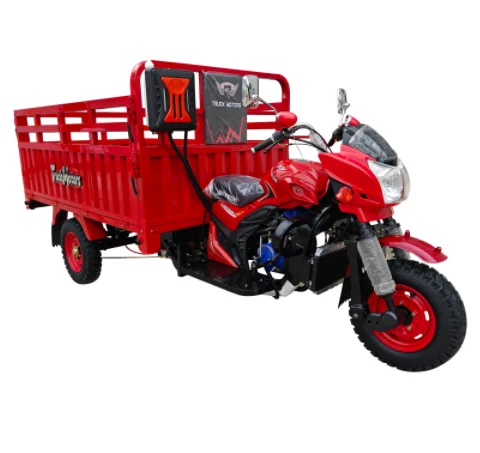 Hot Sale 300CC Water-cooled Engine Gasoline Cargo Tricycle